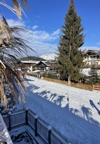 Tobogganing in Austria