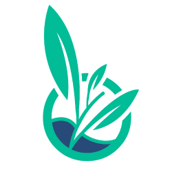 Untitled design (16)