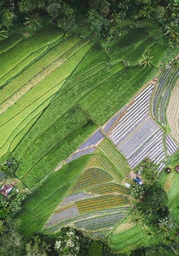 Aerial view of a diverse permaculture garden and organic food production system representing verified regenerative agricultural data.
